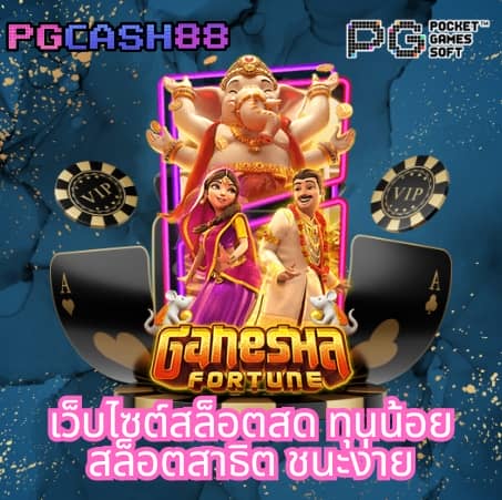 โปรแกรมสุ่ม